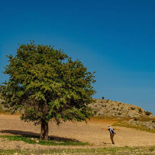 Photo #11202636