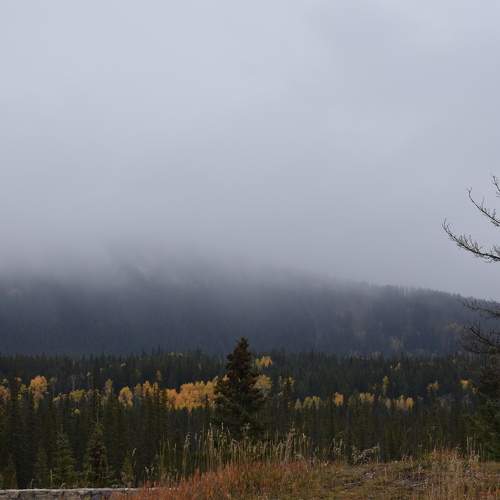 Photo #11202658