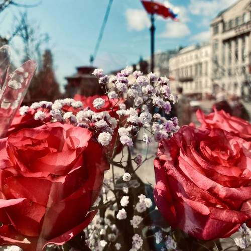 Photo #11202803