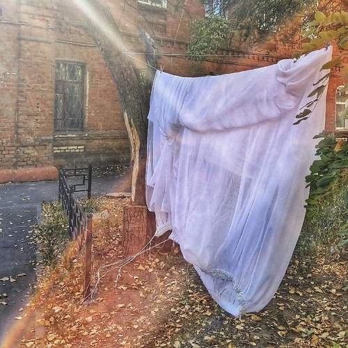 Photo #11202860