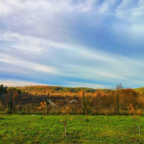 Photo #11202926