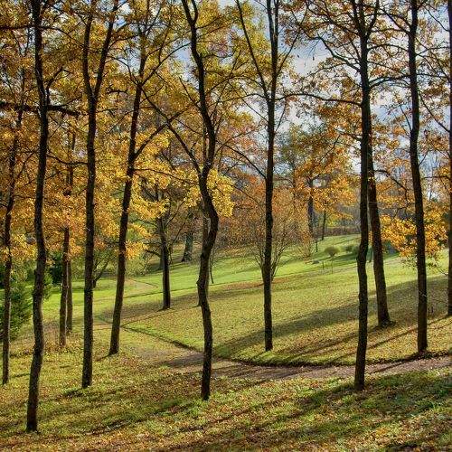 Photo #11203058