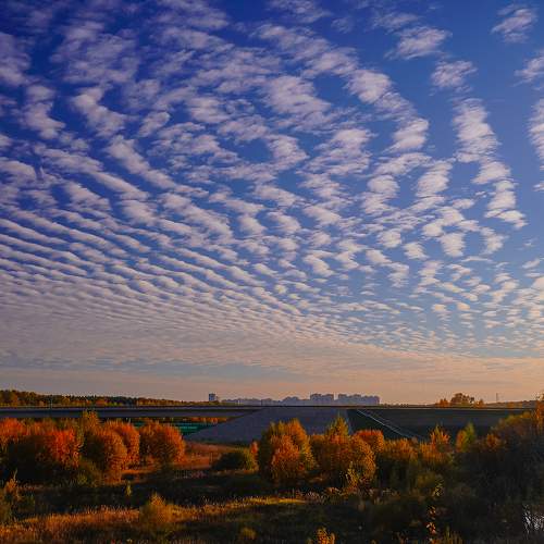 Photo #11203113
