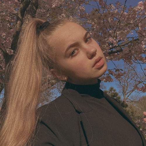 Photo #11203182