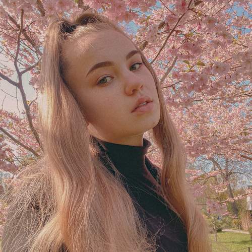 Photo #11203183