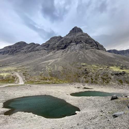 Photo #11203449