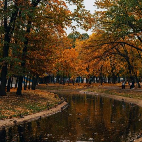 Photo #11203462