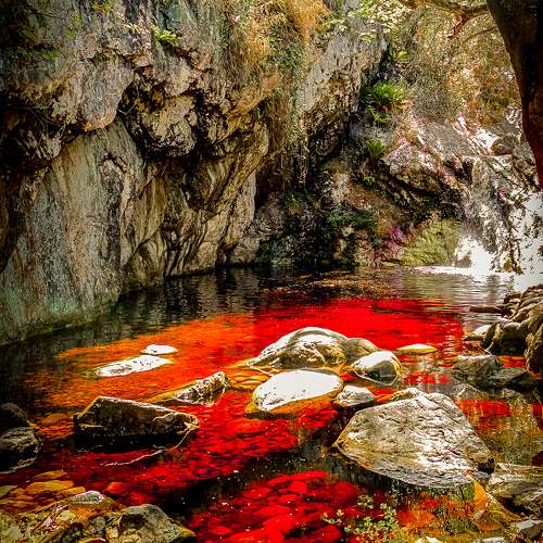 Rivers of Ouro Vermelho