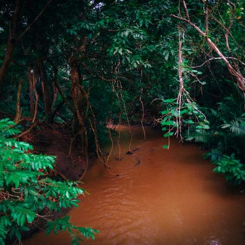 Photo #11203513