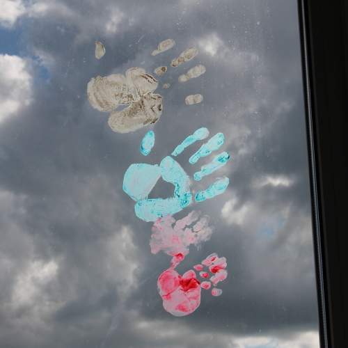 Photo #11203667