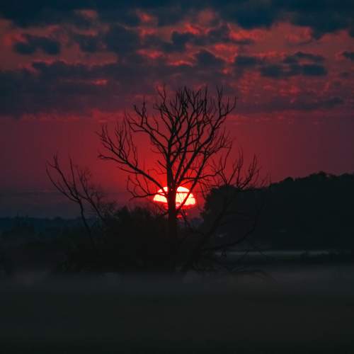 Photo #11203741