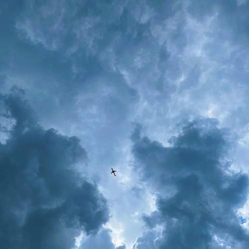 Photo #11203756