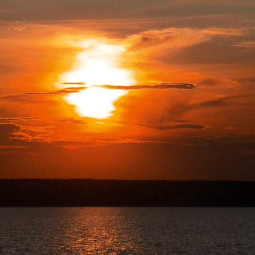 Photo #11204020