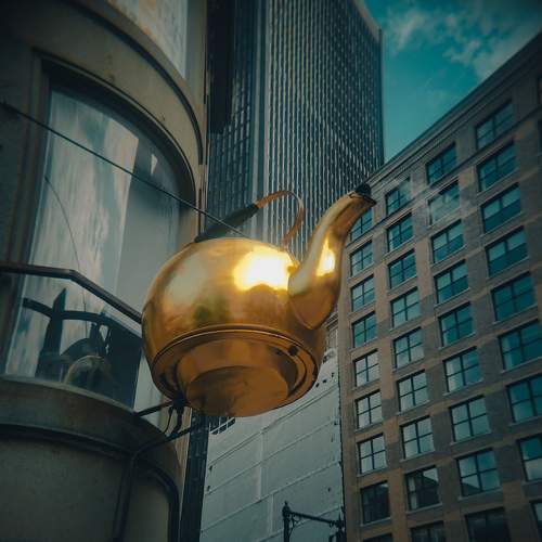 Photo #11204029