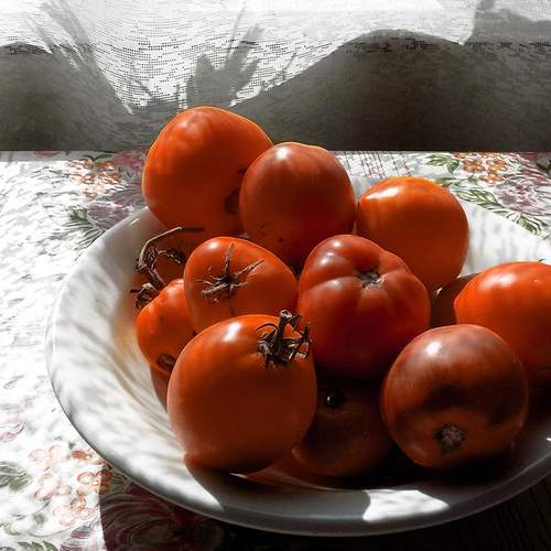 Photo #11204032