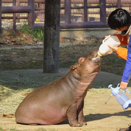 Photo #11204038