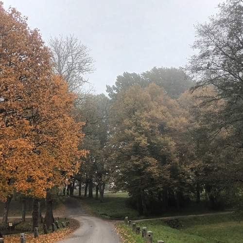 Photo #11204213