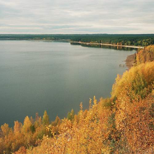 Photo #11204478