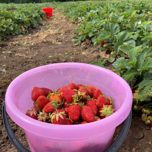 Photo #11204546