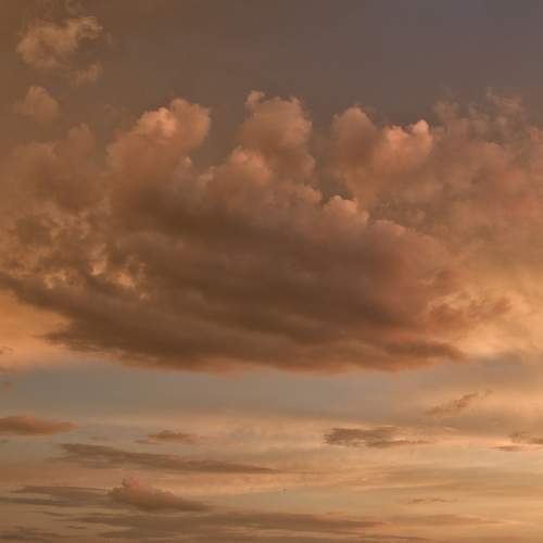 Photo #11204590