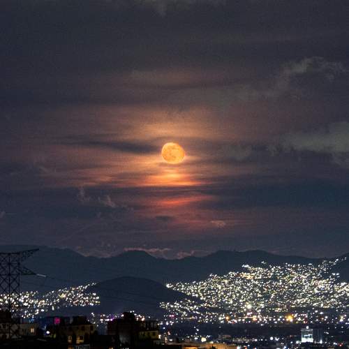 Photo #11204670