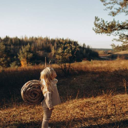 Photo #11204692