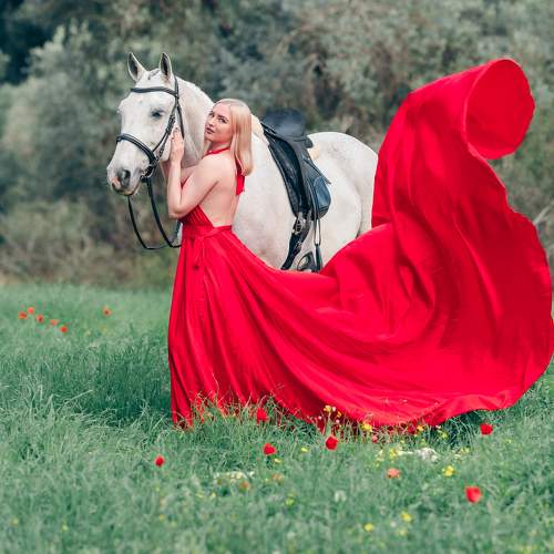 Photo #11204755