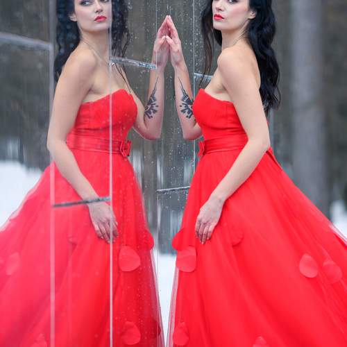 Photo #11204811