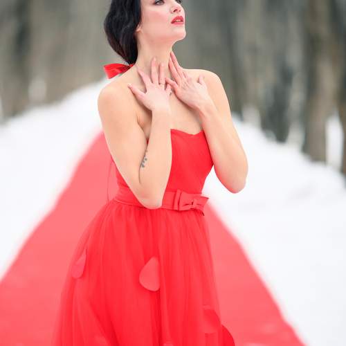 Photo #11204818