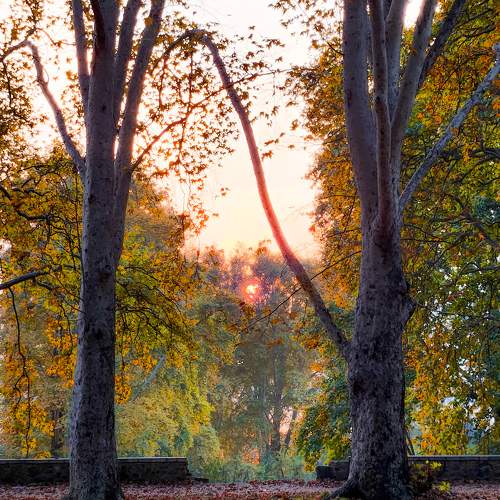 Golden passage