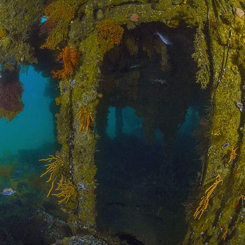 Creating Pillars of New Life