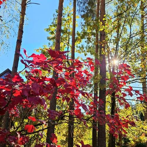 Photo #11205180