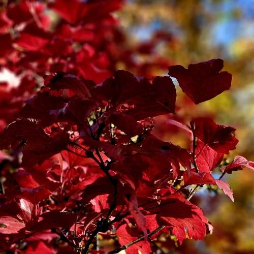 Photo #11205200