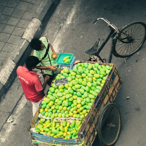 Photo #11205256