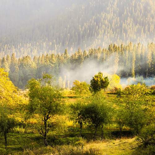 Smoky solitude