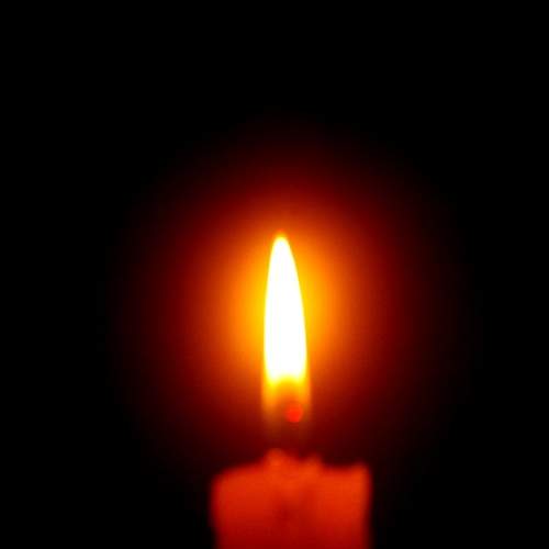 Photo #11205404