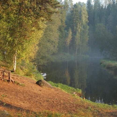 Photo #11205490