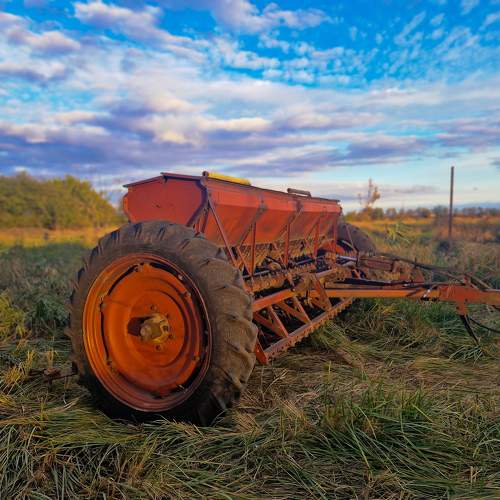 Photo #11205516