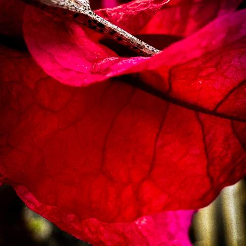 Photo #11205766