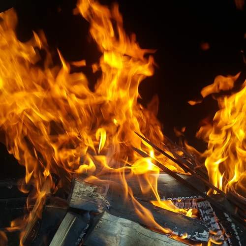 Photo #11205801