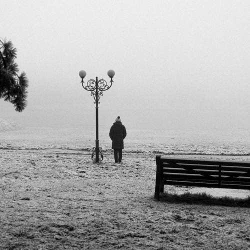 Photo #11205887