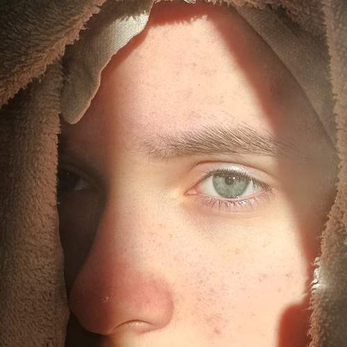 Photo #11205888