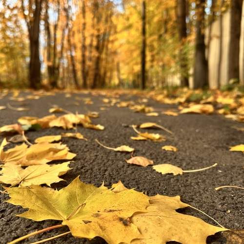 Photo #11206093
