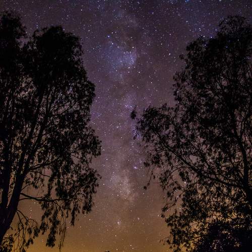 Photo #11206182