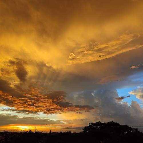 Photo #11206299