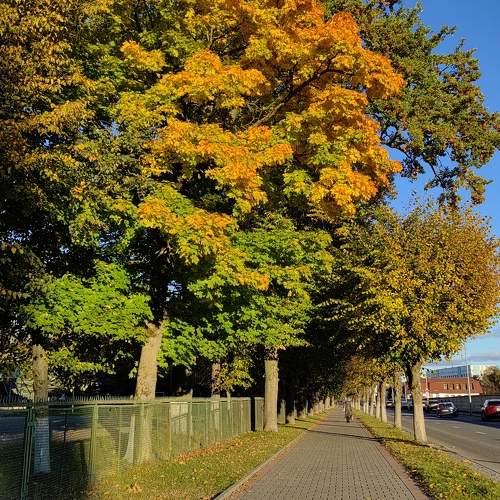 Photo #11206302