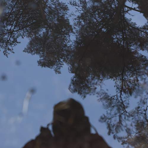 Photo #11206321