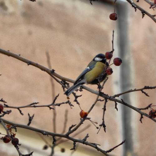 Photo #11206358