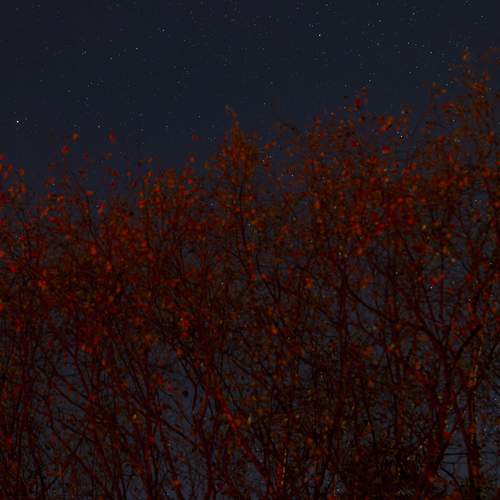 Photo #11206382