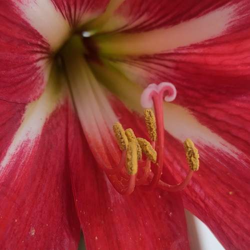 Photo #11206392